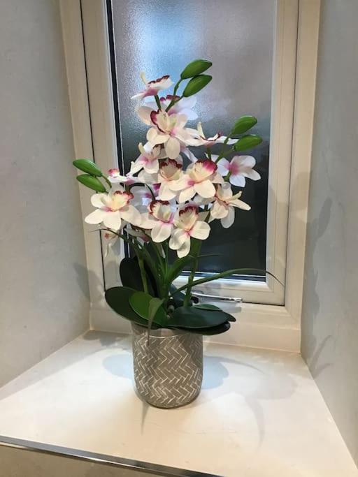 Spacious 2 Bedroom Flat In Heart Of バラター エクステリア 写真